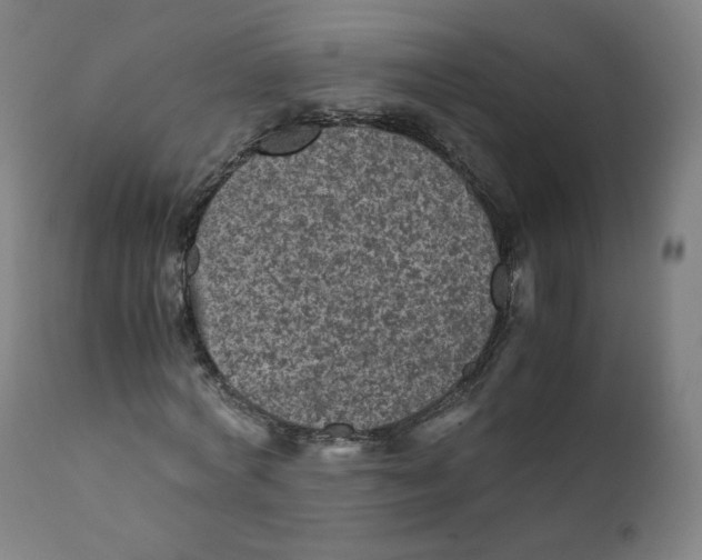 X0000110710772200907101243
