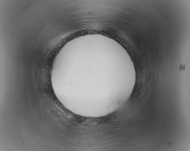 X0000110710773200907101243