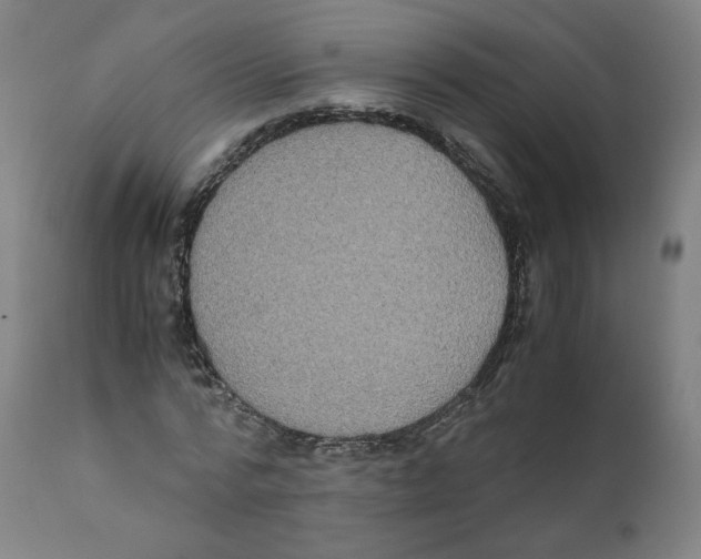 X0000110710776200907101243