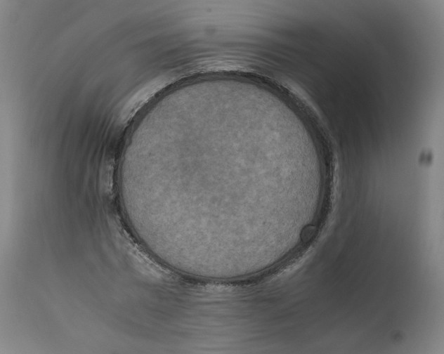 X0000110710777200907101243