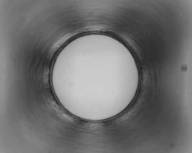 X0000110710778200907101243