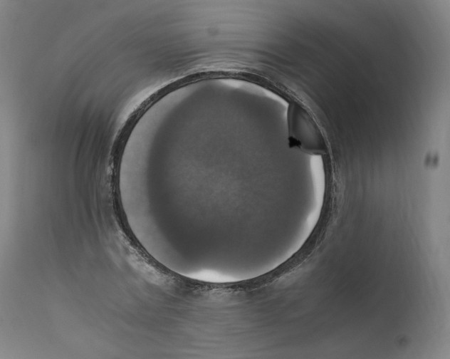 X0000110710779200907101243
