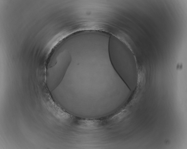 X0000110710781200907101243