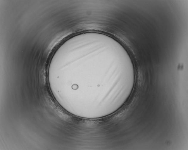X0000110710782200907101243