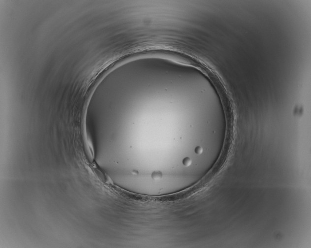X0000110710785200907101243