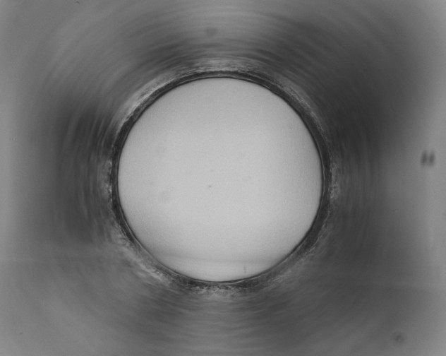 X0000110710786200907101243