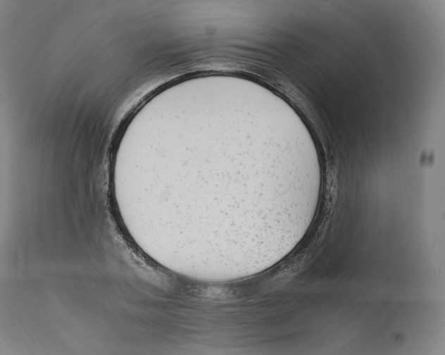 X0000110710787200907101243