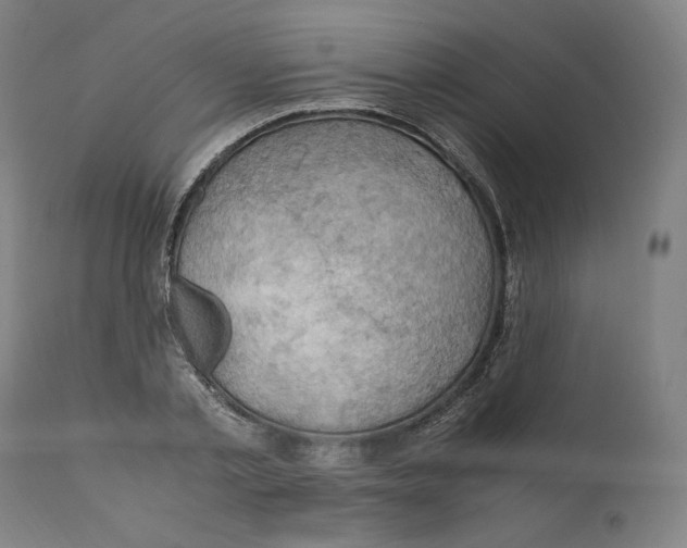 X0000110710789200907101243
