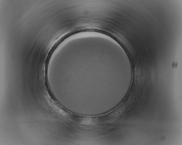 X0000110710790200907101243