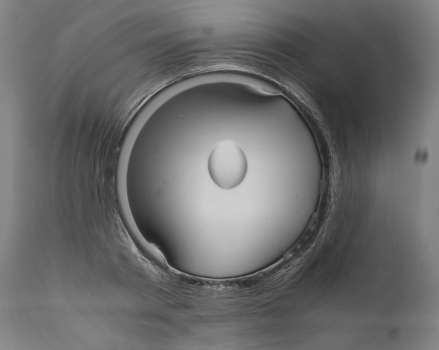 X0000110710793200907101243