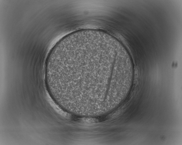 X0000110710795200907101243