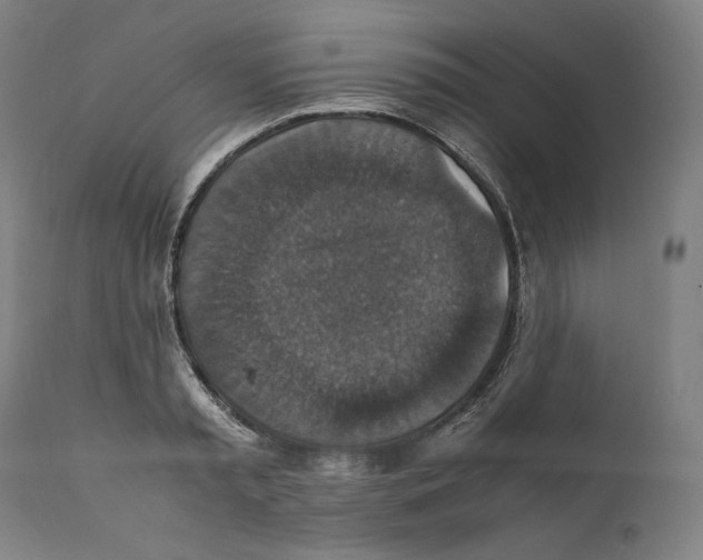 X0000110710797200907101243