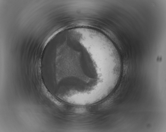 X0000110710798200907101243