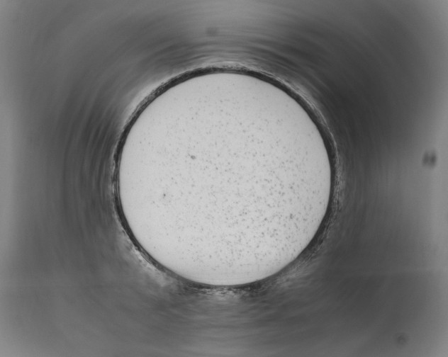 X0000110710799200907101243