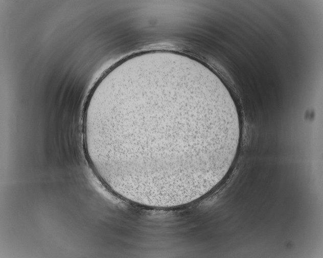 X0000110710800200907101243