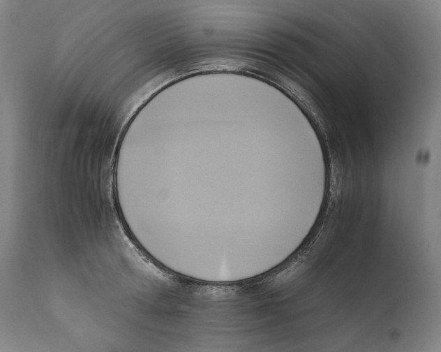 X0000110710802200907101242
