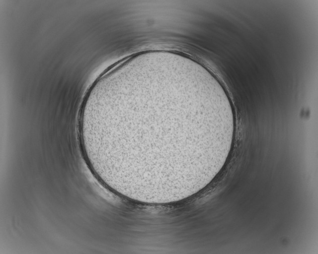 X0000110710803200907101242
