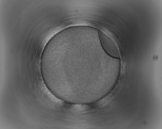 X0000110710805200907101242
