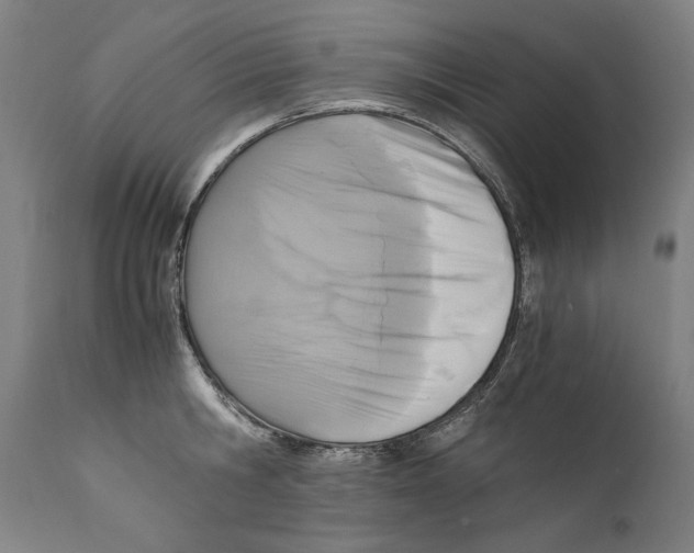 X0000110710806200907101242