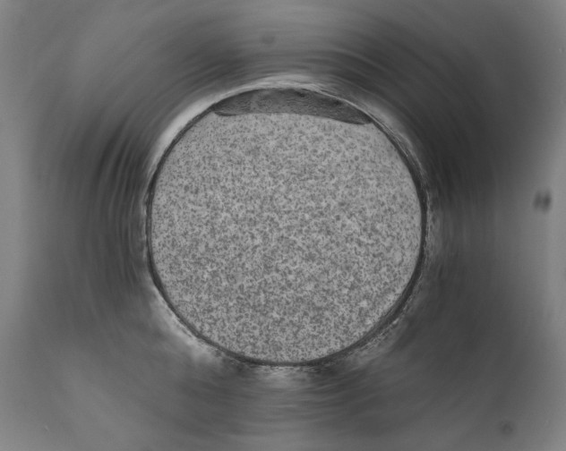 X0000110710808200907101242
