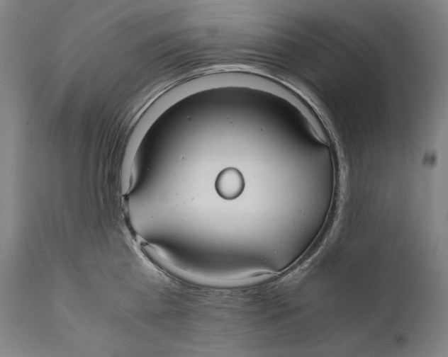 X0000110710809200907101242