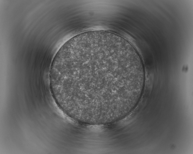 X0000110710810200907101242