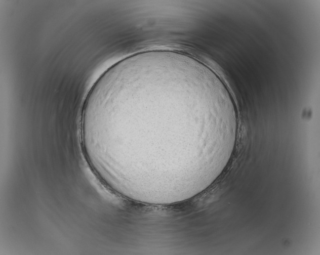 X0000110710811200907101242