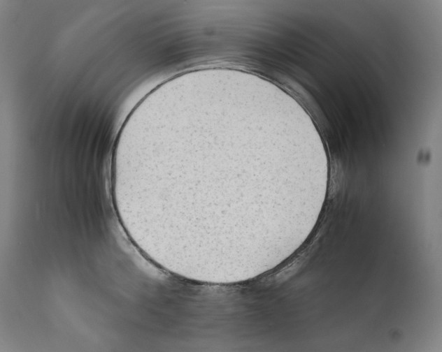 X0000110710812200907101242