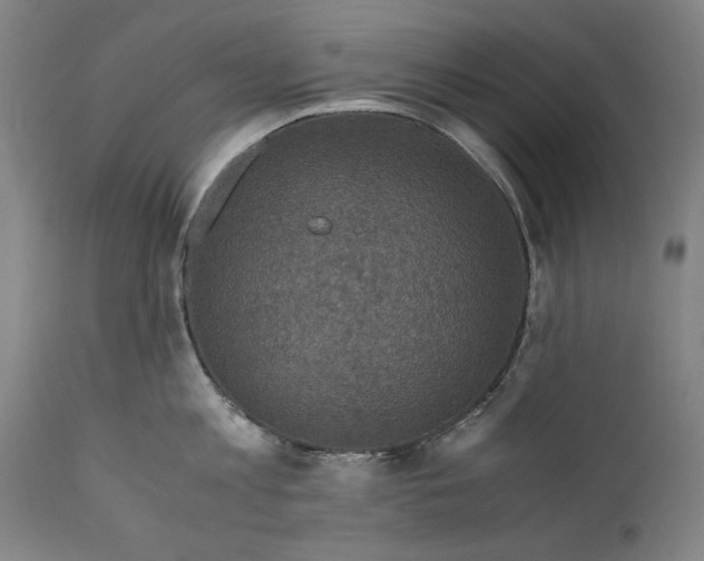 X0000110710813200907101242