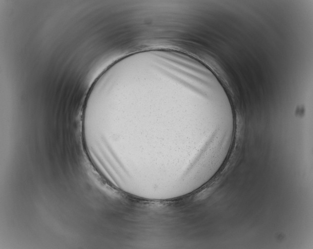 X0000110710814200907101242