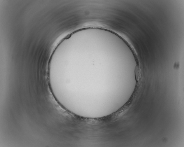 X0000110710815200907101242