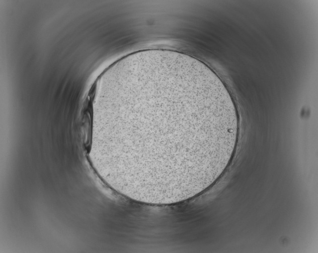 X0000110710816200907101242