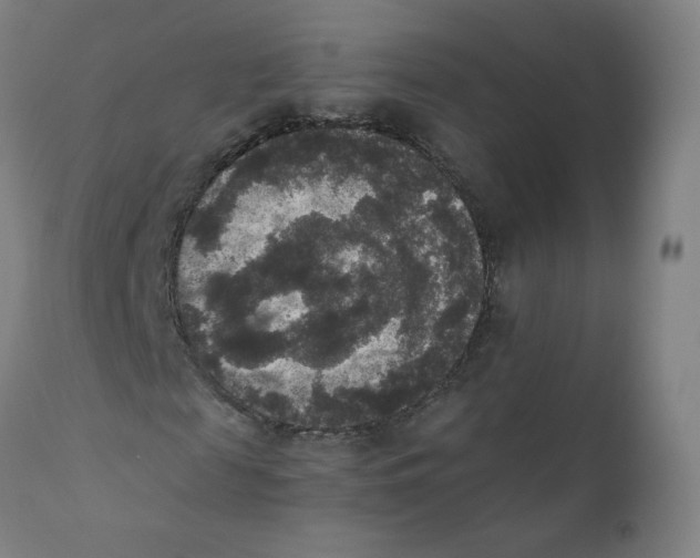 X0000110710817200907101242