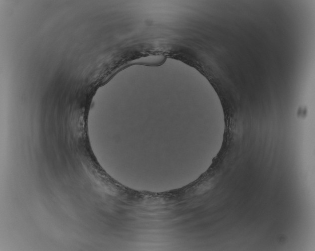 X0000110710818200907101242