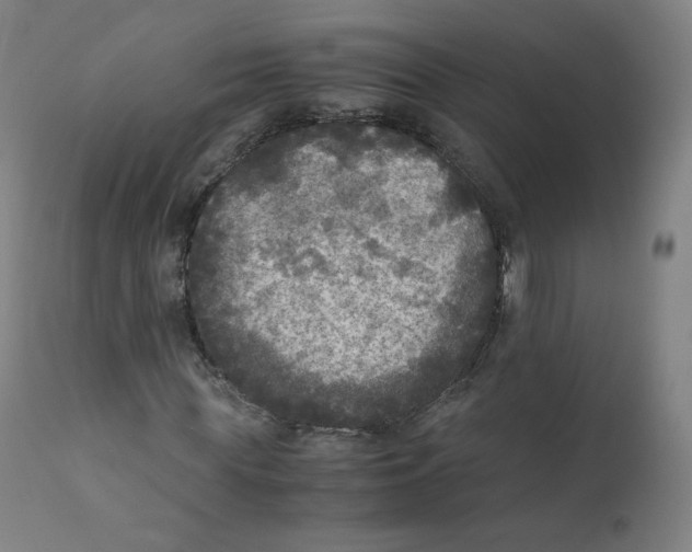 X0000110710819200907101242