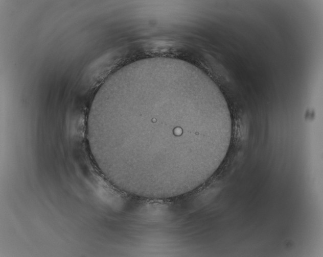 X0000110710820200907101242