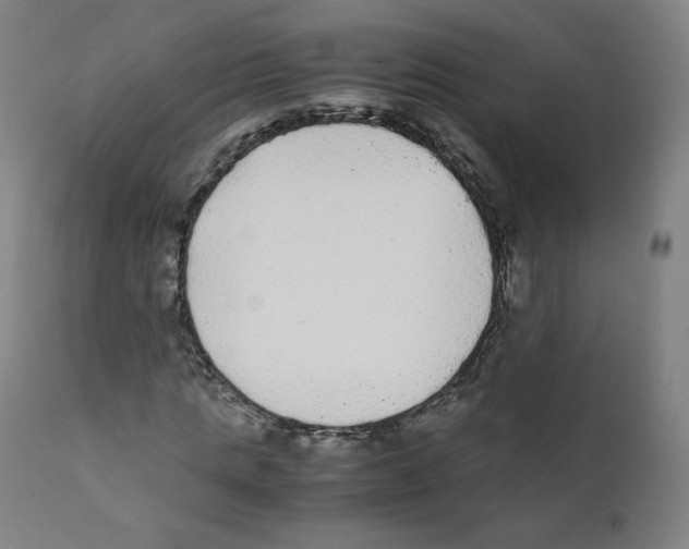 X0000110710821200907101242