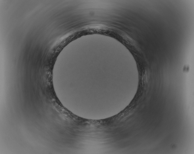 X0000110710822200907101242