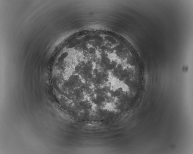 X0000110710823200907101242