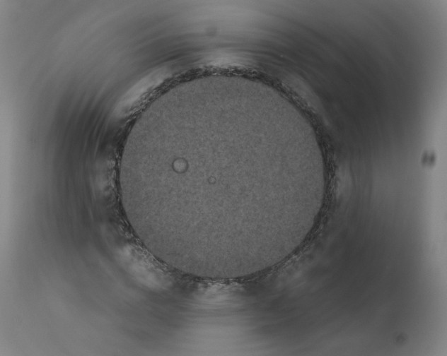 X0000110710824200907101242