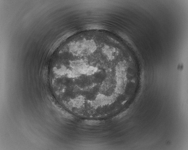 X0000110710825200907101242
