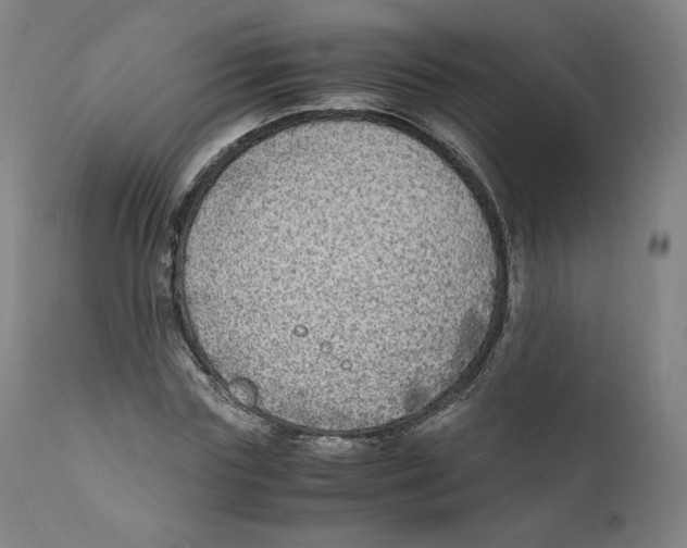 X0000110710827200907101242