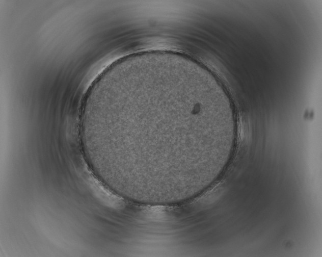 X0000110710828200907101242