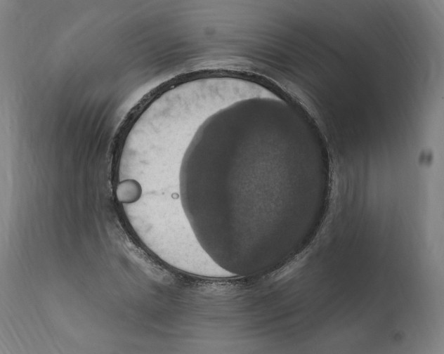 X0000110710830200907101242