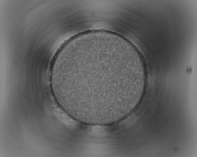 X0000110710832200907101242