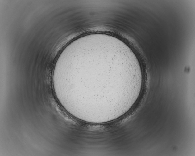 X0000110710833200907101242