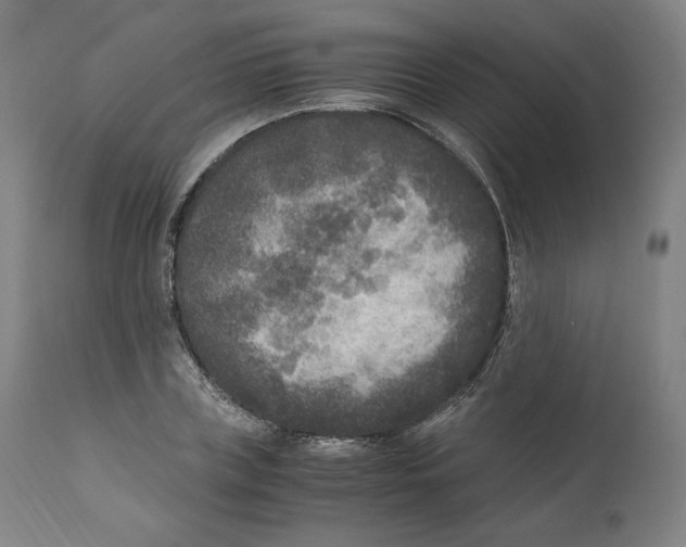 X0000110710835200907101242