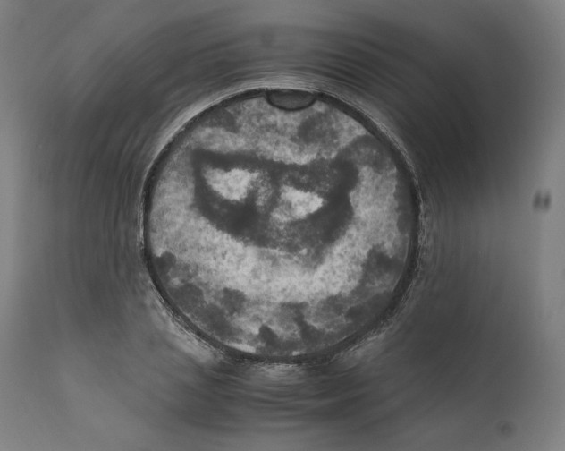 X0000110710837200907101242