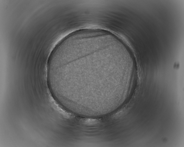 X0000110710839200907101242