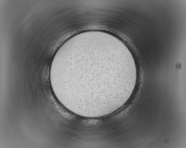 X0000110710841200907101242